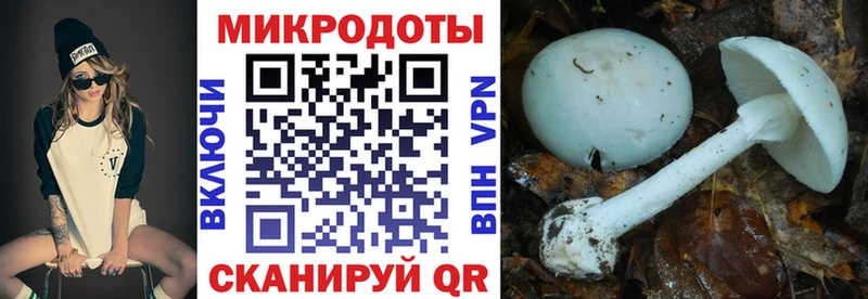 hydra   Кстово  Галлюциногенные грибы ЛСД 